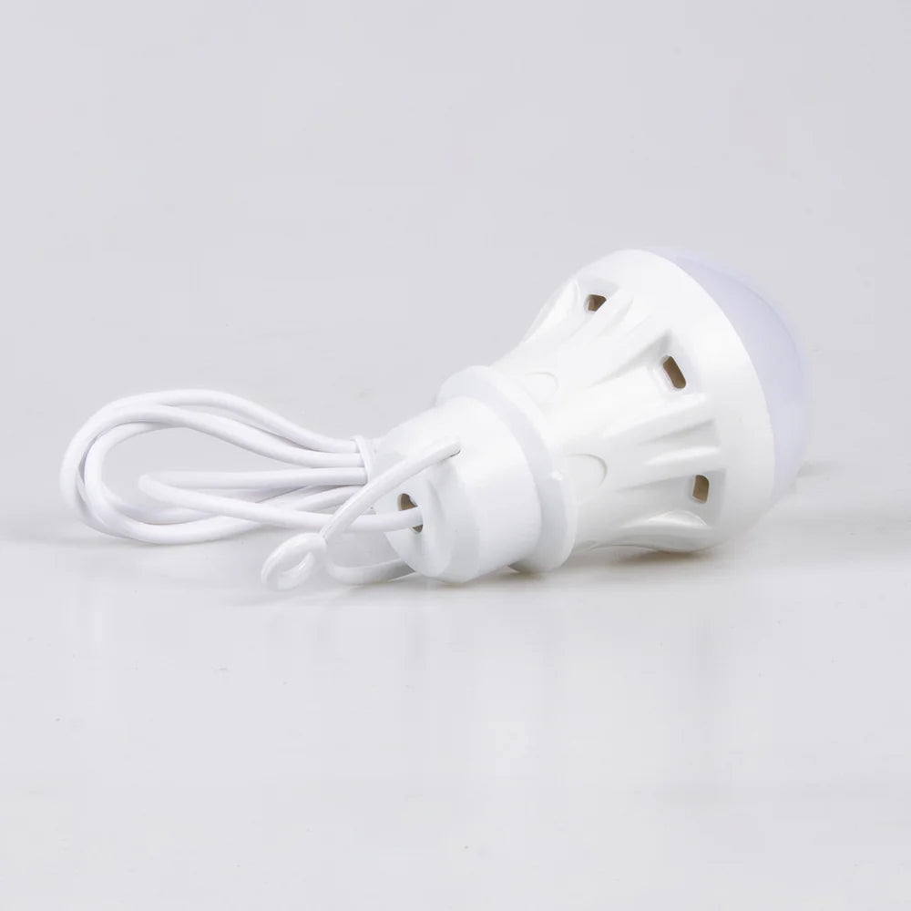 USB LED Light Bulb Portable Camping Light Mini Light Bulb 5V Power Book Light Student Study Table Lamp Outdoor Fishing Lighting