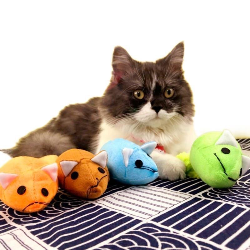 Souris à longue queue pour chat, jouets amusants pour animaux de compagnie, jouets pour chats, jouets d'entraînement pour souris, jouets amusants, produits interactifs pour animaux de compagnie